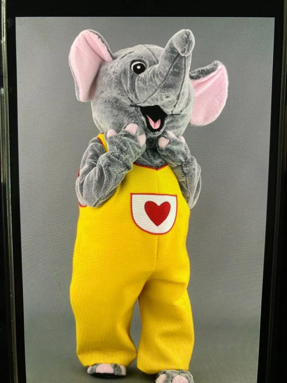 Mascottes 12
